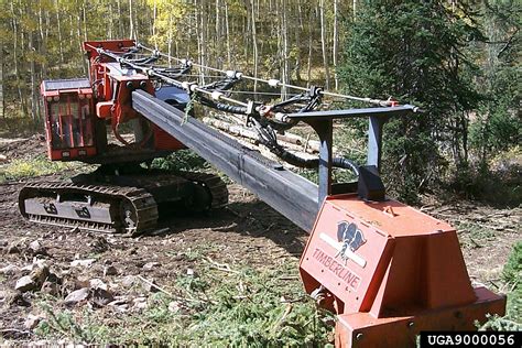 delimbing with skid steer|forest service delimbing equipment.